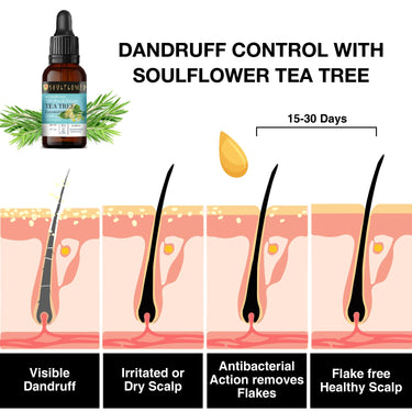 Soulflower Tea Tree Essential Oil for Skin, Hair, Face, Acne Care, Dandruff | Ecocert Certified Organic 100% Pure, Natural, Undiluted Therapeutic Grade | 15ml -